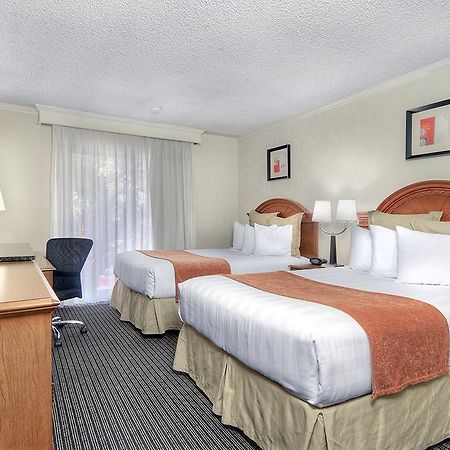 Los Prados Hotel San Mateo Dış mekan fotoğraf