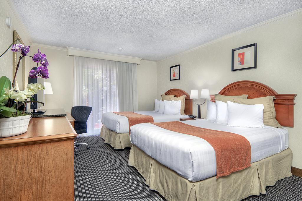 Los Prados Hotel San Mateo Dış mekan fotoğraf
